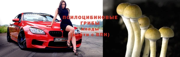 герыч Зерноград